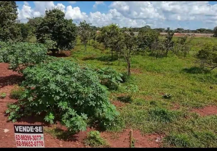 Oportunidade 6.500 metros Área próxima a Coca-Cola saída Trindade.