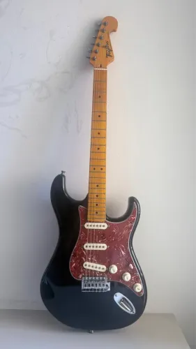Guitarra Tagima TG-530 Woodstock Séries