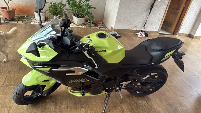 Kawasaki Ninja 500 SE 2026