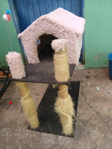 Casinha pet gato cada caixa acessório pet