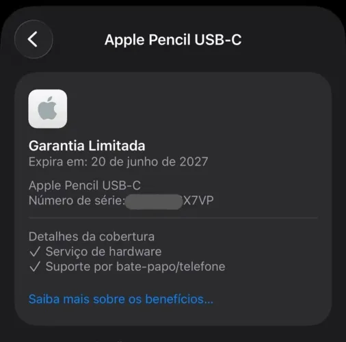 APPLE PENCIL USB-C