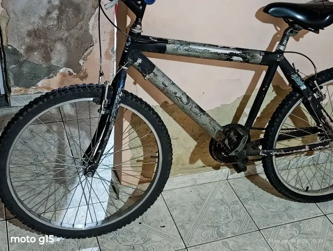 Bicicleta