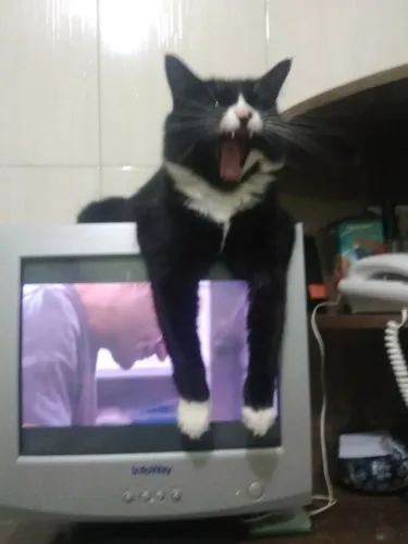 Monitor De Pc