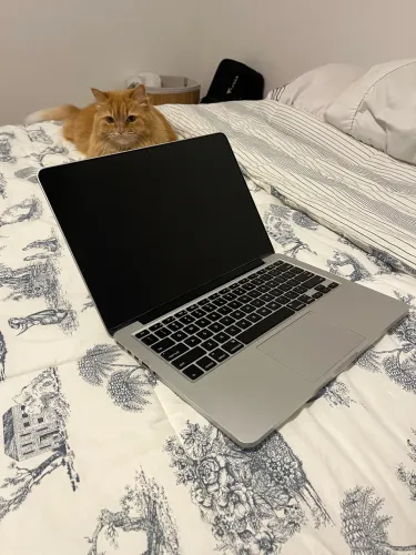 MacBook Pro - 13 inch Retina 2015 (concerto)