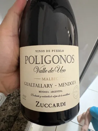 Vinho Tinto Zuccardi Poligonos Malbec Gualtallary