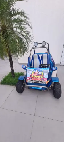 Swell Mini Veiculos Flash Millenium Mini Buggy 2023