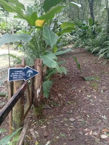 Casa na mata