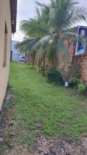 Aluguel Casa Novo Aleixo