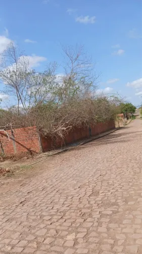 Lotes de terreno