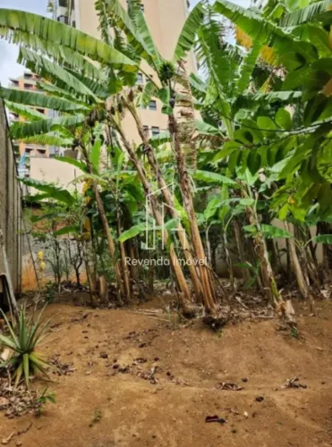 Terreno à venda em Santana, São Paulo-SP: 430m² de oportunidade única!