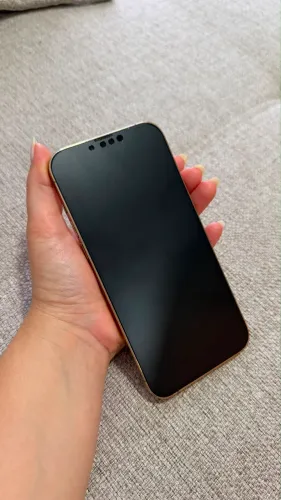 iPhone 13 Pro Max: 128gb