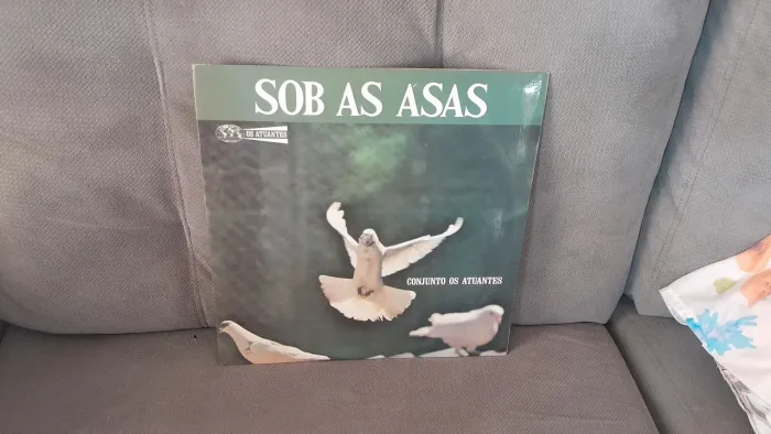 Risco de vinil evangélico sob as asas