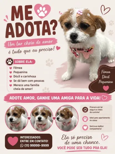 Linda Cachorrinhas
