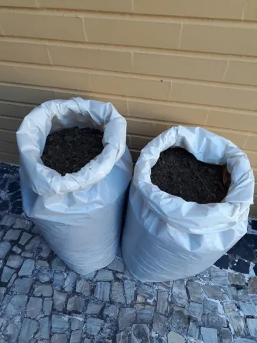 Esterco de boi curtido ou terra preta
