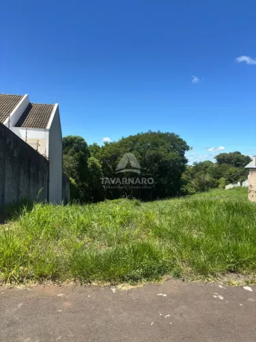 Terreno Padrão em Ponta Grossa