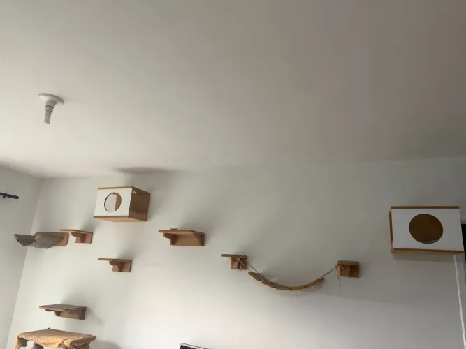 Playground para Gato 10 pcs