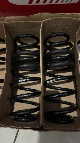 Molas eibach para civic g10 