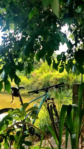 Oggi Big Wheel 7.0 2021 Cor Verde