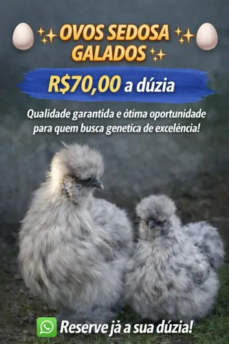 Ovos Galados de Sedosa