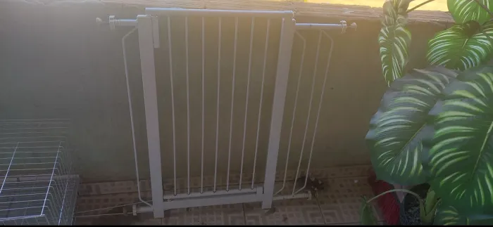 Portao de cachorro