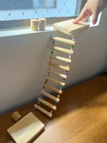 Escadinha para calopsita