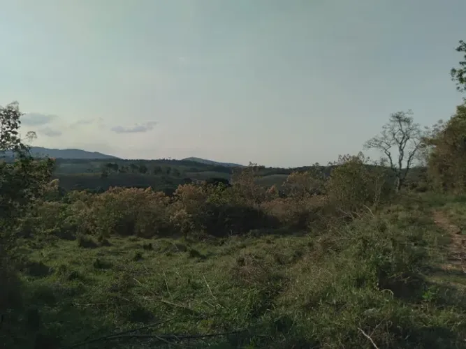 Chácara/Sítio, Rural - 60.000m² - Carmo de Minas - faça sua proposta