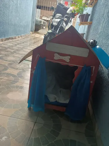 Casa Cachorro porte M