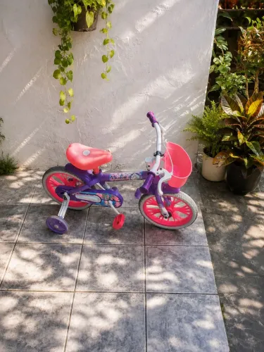 Bicicleta Infantil 