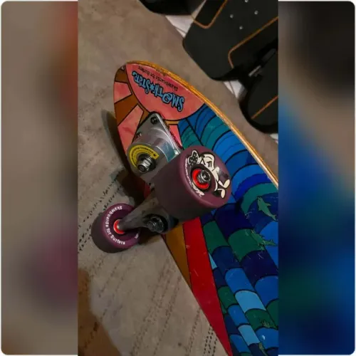 Skate SmoothStar Dolphin Simulador de Surf Importado