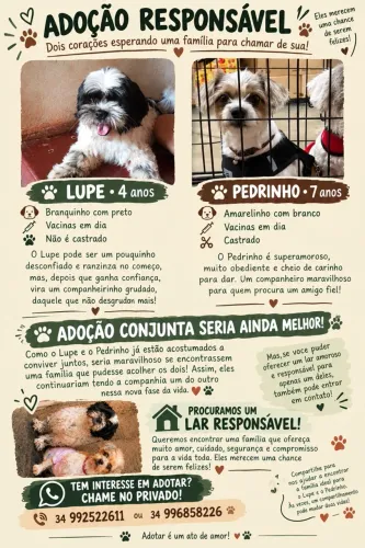 Adoção responsável 