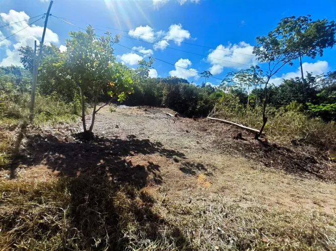 Vendo terreno em Porto de Sauípe na Linha Verde 