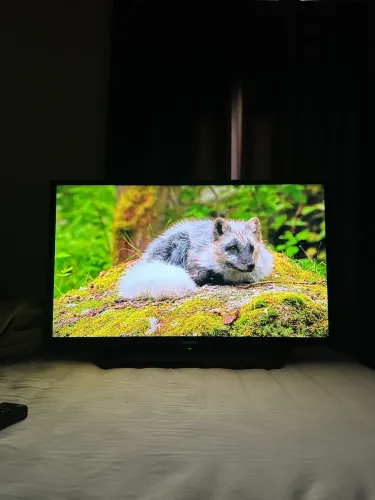 Smart 32 