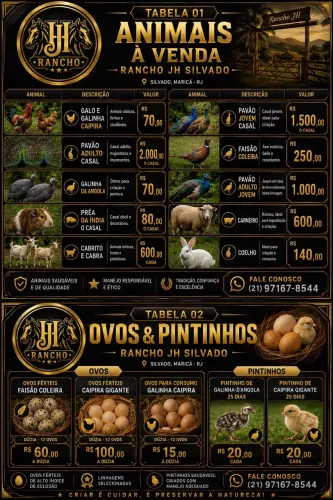 Venda de animais