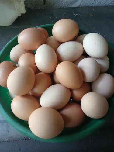 OVOS CAIPIRA GALADO