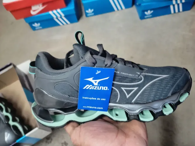 Tenis