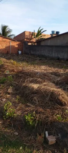 Terreno 
