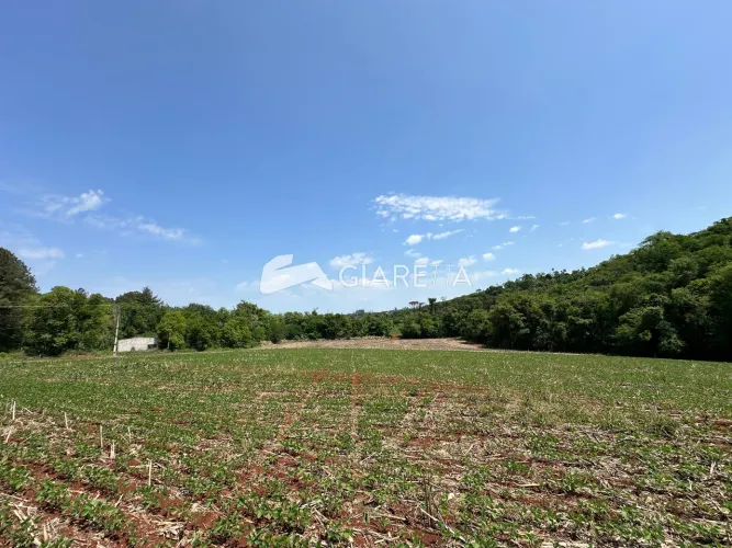 Excelente chácara à venda, ZONA RURAL, OURO VERDE DO OESTE - PR