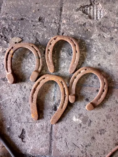 Ferradura de cavalo