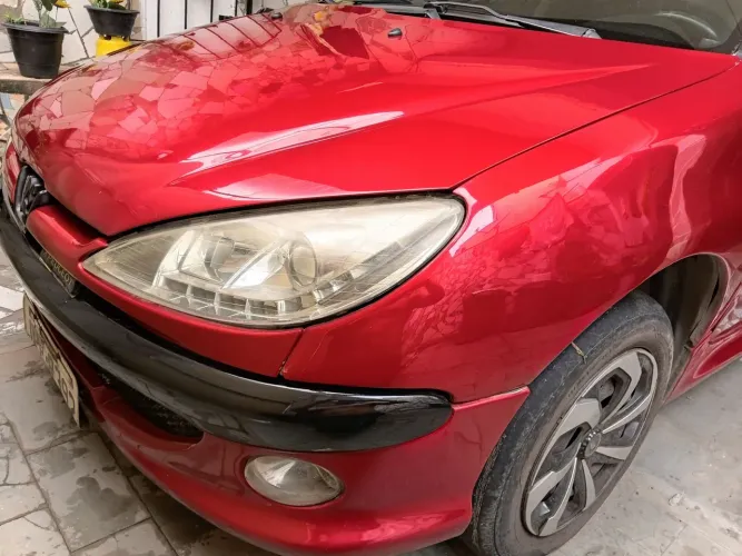 Peugeot 206 Select./presence 1.6/1.6 Flex 16V 5P 2004