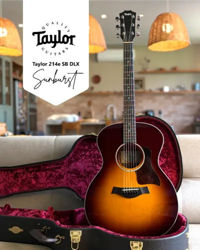 Taylor 214e SB DLX