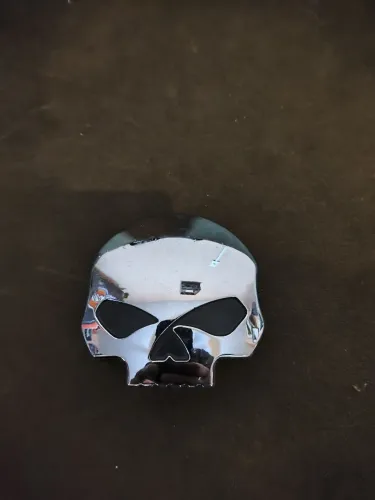 Tampa skull