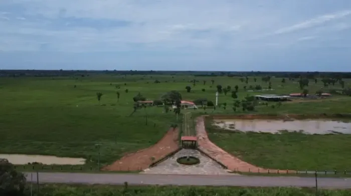 Excelente Fazenda com 1.500ha no Km 20 da BR319 no Careiro. 1.000ha (MIL) abertos