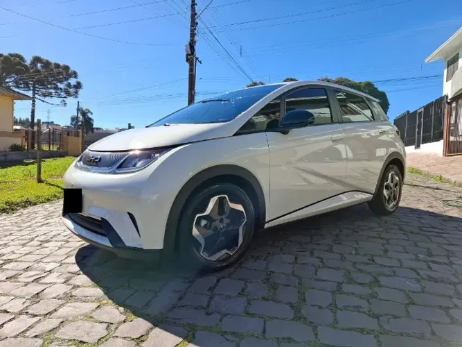 BYD Dolphin GS 2025