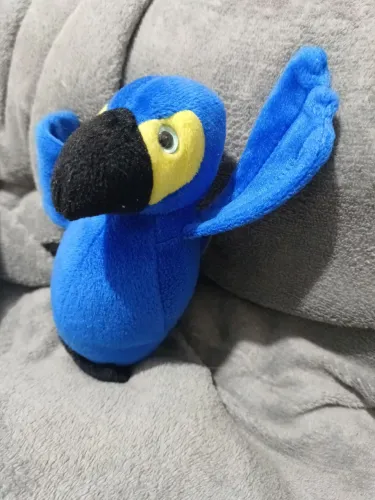 Área azul pelúcia (rio)