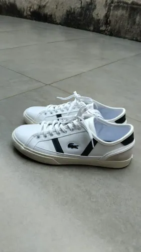 Tenis lacoste original