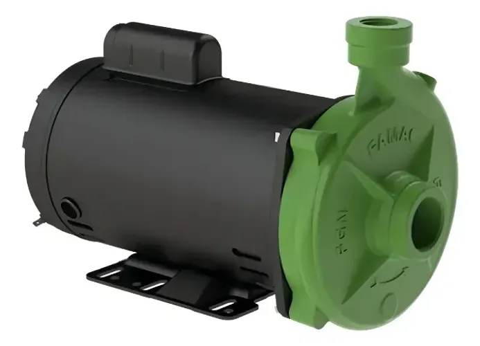 Motobomba centrífuga Famac FGN-2 4,0 CV com motor WEG