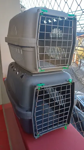 2 caixinhas de transporte