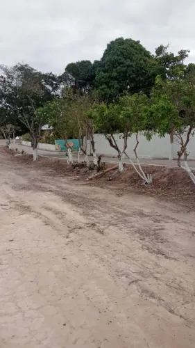 LOTE no terreno situado ao lado do Campo de Futebol