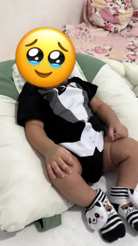 Vendo body temático poderoso chefinho 