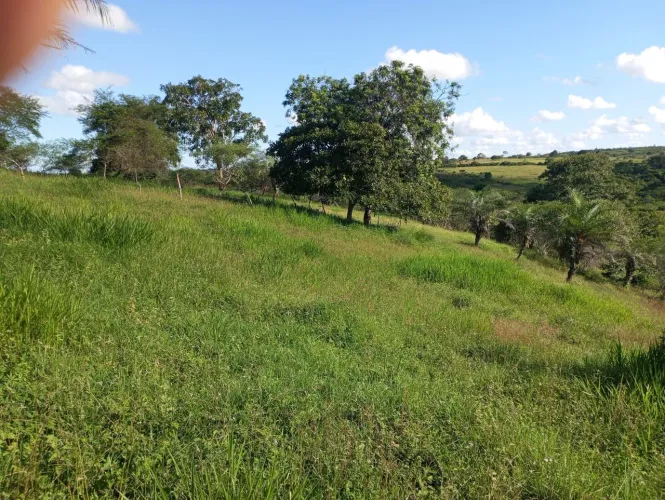Excelente Sítio à Venda - 10 Tarefas - Povoado Lagoinhas